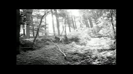 Summertime Chillout - Vb Amp Ww