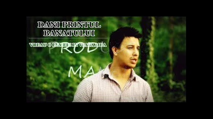 Dani Printul Banatului - Vreau o muiere in viata mea