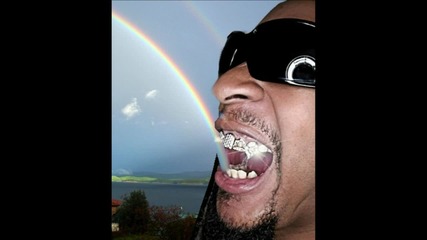 Lil Jon - Double Rainbow Song (remix)