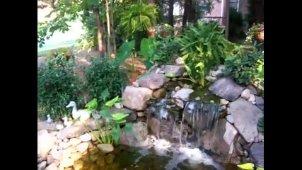 Water Fall in back yard 