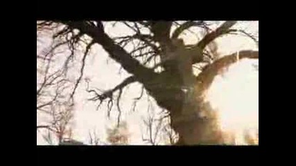 Dj Ironik - Stay With Me [official Video]
