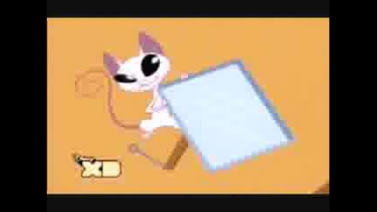 Mr. Kat is a Kitty Cat