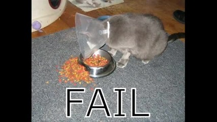 Epic Fails 