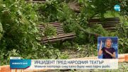 Дърво падна пред Народния театър в София, пострадало е момиче