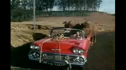 Слонът моя приятел Bg аудио - Haathi Mere Saathi - Dvd-rip.torren 00_17_12-00_21_58 [високо качество