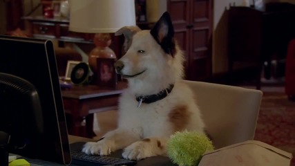 Dog With A Blog Promo