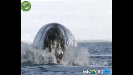 Замръзналата планета