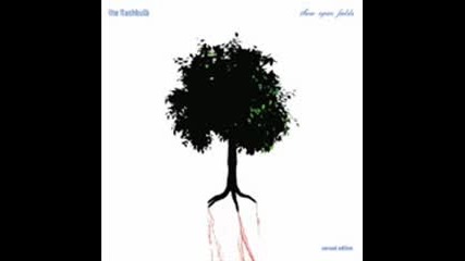 The Flashbulb - Near The Woods