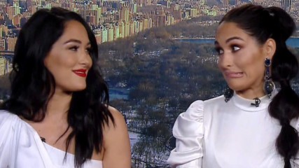 Brie Bella gets candid about trying for baby No. 2 on E! News