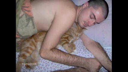 Homeless Cats In Bulgaria