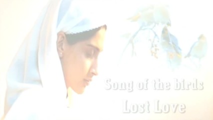 Song of the birds Lost Love