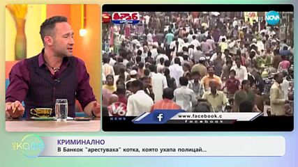 В Банкок „арестуваха“ котка, която ухапа полицай - „На кафе“ (28.05.2025)