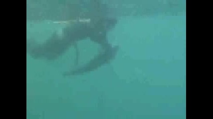 подводен риболов