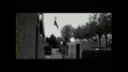Real Spider Stunts