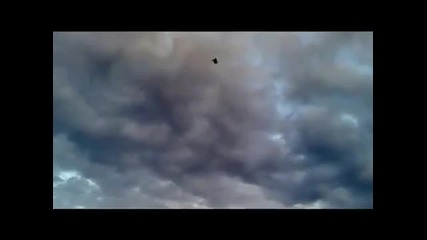 Турски Гълъби - Германия 2010