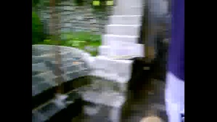 Виличката Ми И Кучето Ми