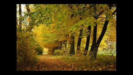 John Mayall & Eric Clapton - Goodbye December
