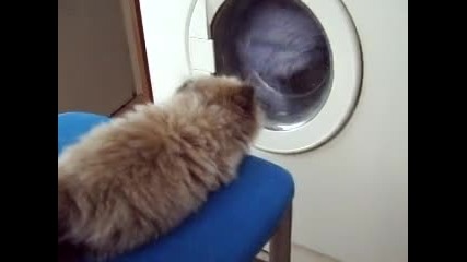 Каспър