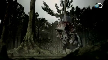 Discovery Channel-1