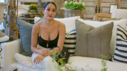 Kathy tells Nikki she doesn’t want Artem in the family photo: Total Bellas, April 23, 2020