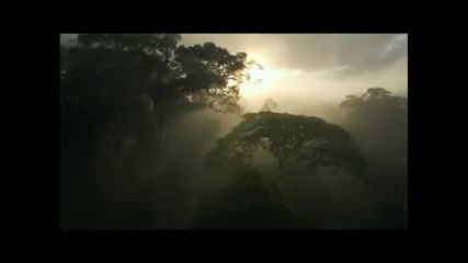 Planet Earth - Save It 