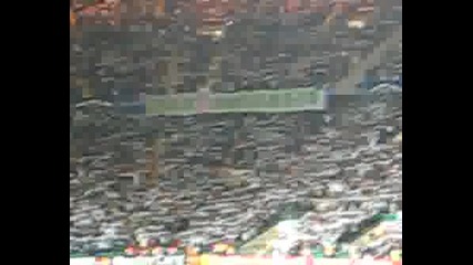 Celtic Fans