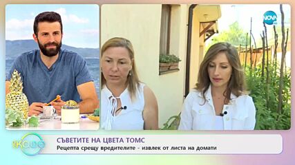 Съветите на Цвета Томс за здрави растения и добра реколта - „На кафе” (14.07.2022)