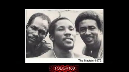 @ Toots & the Maytals - 54-46 was my number - ( todor168 )