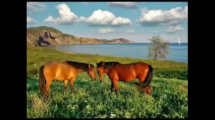 Omar Akram - Beauty Unveiled