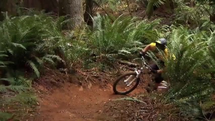 Hd Freeride - Rocky Mounteain Hd