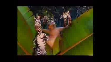 Madagascar Help 