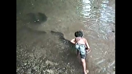Сладководни Змиорки в Таити