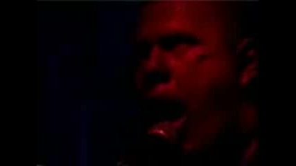 Disgorge (mex) Live In Mexico 2000