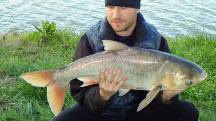 Риболов на Толстолоб, езеро: Витска Елия България Част-3