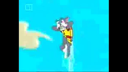 Tom And Jerry Tales - Tomcat Jetpack - Бг Аудио