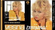 Vesna Zmijanac - Sto te nema, bekrijo - (Audio 1985)