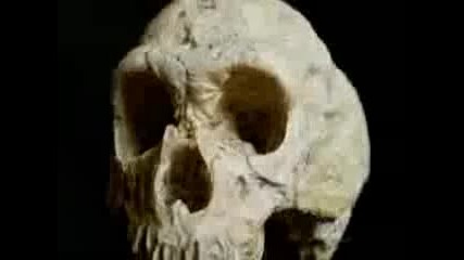 Pbs Nova 2013 Decoding Neanderthals 480p x264 Aac Mvgroup org