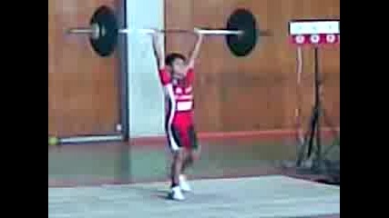 Mirko 31 kg