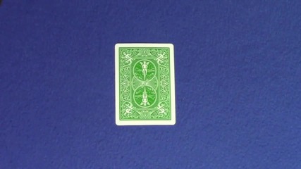 Card Trick Bet