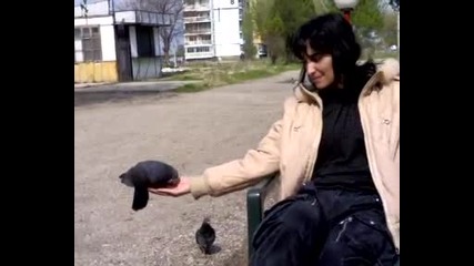 13042010006
