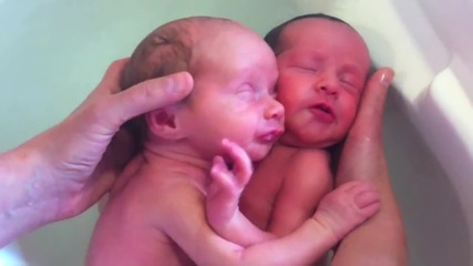 Видеото, което умили милиони! Близначета не разбират, че са се родили - ето какво правят!
