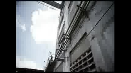 3a21d99f(2).flv