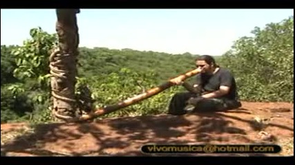 Jonas Didgeridoo Brasil I 