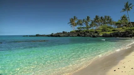Hawaii Beaches 