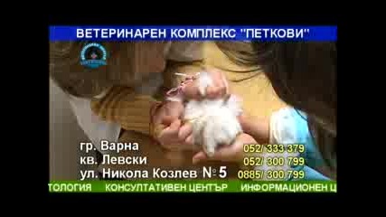 Ветеринарен Комплекс Петкови