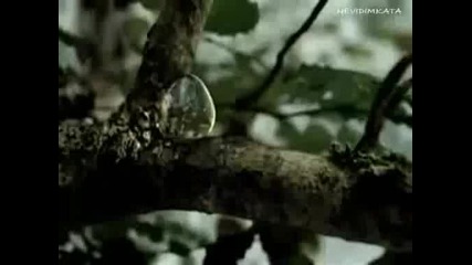 Дългият Път 