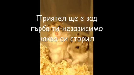 Истинският Приятел