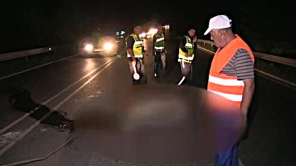 Крави на пътя предизвикаха тежка катастрофа на Русе-Разград - видео БГНЕС