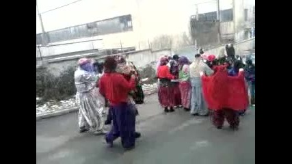 Сурва квартал грамада 2012 (5)