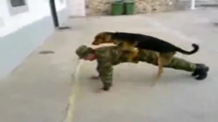 Войник и куче :d - Смях